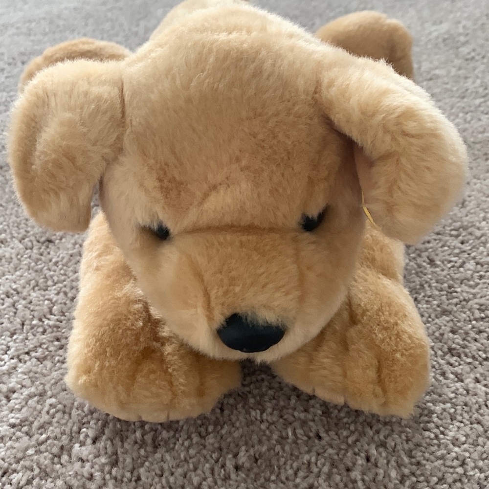 Ty beanie baby classic